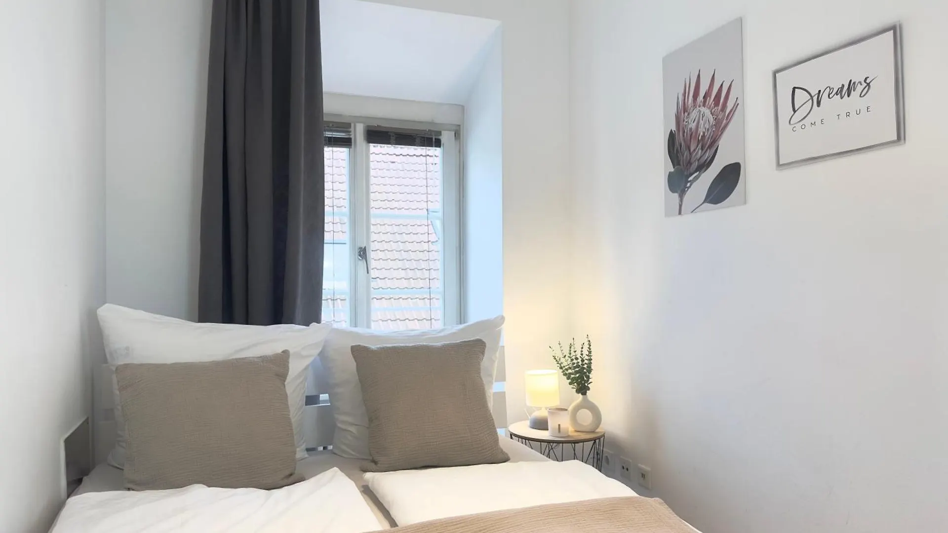 Luxury Old Town Suite - Xxl Terrasse & Xxl Penthouse Heidelberg
